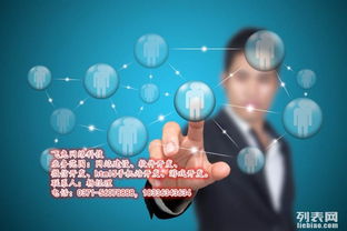 飛兔網絡科技 鄭州網站建設、APP開發與游戲開發的技術領航者